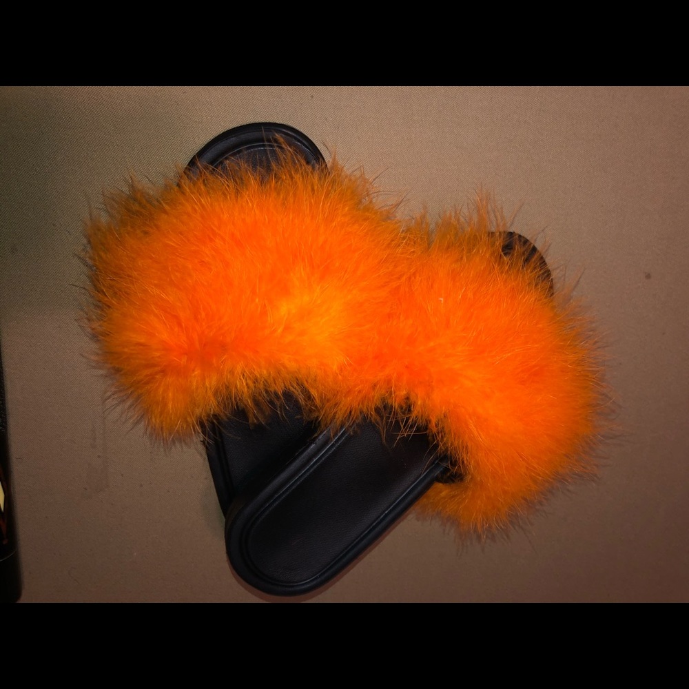 FurSlides - Picture 6 of 8